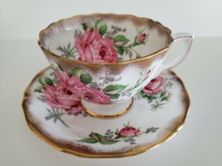 Adderley Fine Bone China Teacup And Saucer Cabbage Rose And Gold