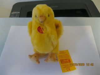 Steiff Plush Bibi Chick Baby Chicken 14cm 5.  5in Id Button Tags 1994 - 95 Vtg