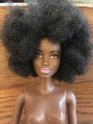 Aa Barbie Doll With Afro African American Black Fashionista Mattel