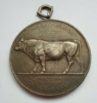 Antique 902 Belgian Bull Cattle Livestock Breeder Award Medal