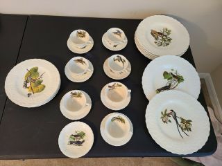Vintage Alfred Meakin Birds Of America Dinner Plate Full Set