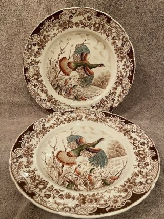 Set Of 2 Johnson Brothers Windsor Ware Wild Turkeys Dinner Plates