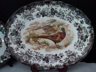 Royal Worcester Palissy Game Series Birds Pheasant Oval Platter 16 " Lodge Decor