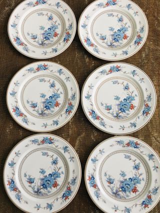 Set Of 6 Vintage Noritake Versatone Bleufleur 10 - 1/2 " Dinner Plates Euc