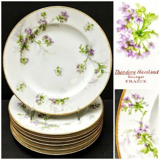7 Antique Theodore Haviland Limoges Purple Flowers Luncheon Plates W/gold Trim