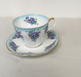 Royal Albert Tea Cup & Saucer Dainty Dina Series " Betty " White Blue Floral
