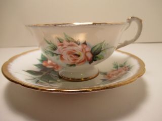 Paragon Eng China Cup& Saucer Signed Dany Robin White Light Orange Rose Pretty
