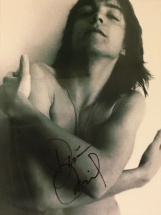 David Cassidy Hand Signed 8x10 Photo W/ Holo Partridge Family