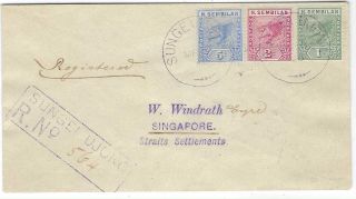 Malaya Negri Sembilan 1896 3 Tigers Registered Cover Sungei Ujong