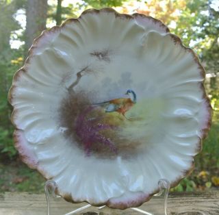 Antique French Hand Painted Bird Limoges Porcelain Scalloped Plate C