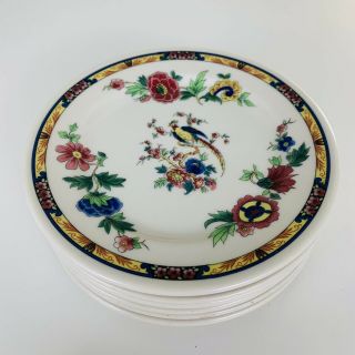 Vintage Syracuse China Bird Of Paradise Bread Dessert Plate Set Of 6 - 5.  5 "