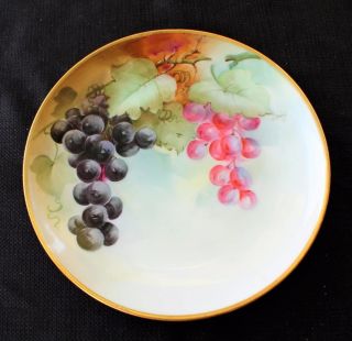 Vintage Richard Ginori Italy B&w Studio Hand Painted Grapes 7 7/8 " Plate 0173/4