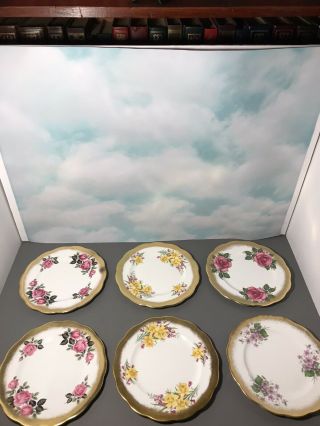 Set Of 6 Vintage Queen Anne 8 " Porcelain Dessert Plates 22k Gold Rims - Assorted