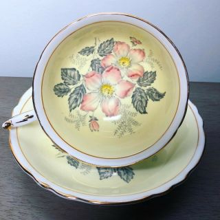 Paragon Tea Cup And Saucer Double Warrant Yellow And Pink Flowers C 1952 - 1960