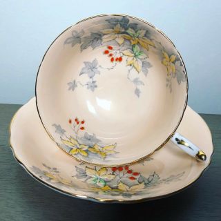 Paragon Tea Cup And Saucer Double Warrant Fine Bone China Vintage