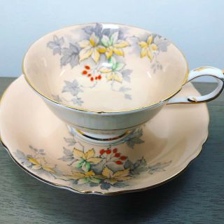 PARAGON Tea Cup and Saucer Double Warrant Fine Bone China Vintage 2