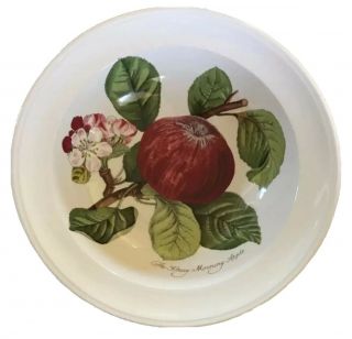 Portmeirion Pomona Hoary Apple Rimmed Cereal Bowl 6 3/4 " Vintage Old Stamp
