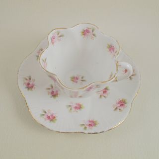 LATE FOLEY SHELLEY c1911 Porcelain Cup & Saucer 7447 Rose Pattern Dainty Shape 3