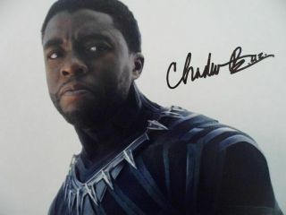 Chadwick Boseman Signed 8x10 Photo Picture Autographed Pic " T 