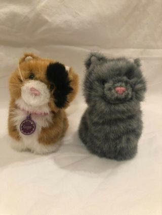 American Girl 18 " Doll Pet Cats Kitty Praline And Ginger Set