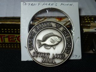 Detroit Lakes Minnesota,  Mn,  1971,  Sunfish,  Train,  Water Skiing