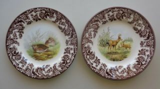 Set Of 2 Spode Woodland Mule Deer & Quail Bird Salad Plate England 7.  75 "