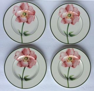 Set Of 4 Villeroy & Boch Flora 7” Bread/butter Plates Germany Wild Rose