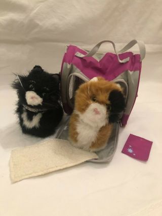 American Girl 18 " Doll Pet Cats Kitty Licorice And Ginger Set With Soft Carrier