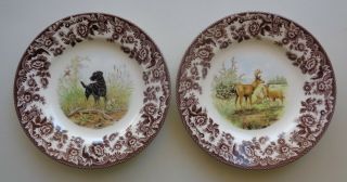 Set Of 2 Spode Woodland Mule Deer Hunting Dogs Black Labrador Salad Plate 7.  75 "