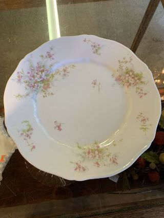 Set Of 8 Theodore Haviland Limoges Pink Apple Blossom 9.  75” Plates Schleiger 146