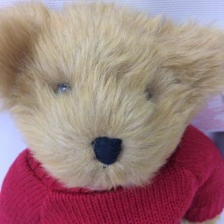 Russ American Airlines Franklin T Bear with Passport Red Sweater 2