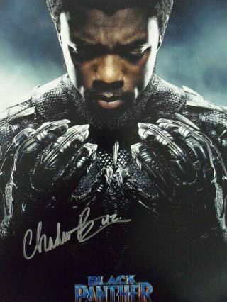 Chadwick Boseman Signed 8x10 Photo Picture Autographed Pic " Blackpanther "