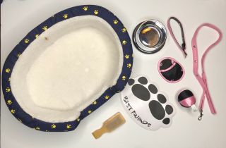 Build A Bear Babw Dog Bed W Food Bowl And Mat Collar Leash Brush And 2 Toys