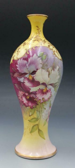 C1900 German Royal Bonn Vase Hand Painted Irises Pink & Yellow Gilt Trim