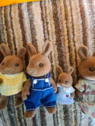 Sylvanian Families brown chocolate Rabbit Bundle 7 2
