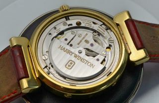 Harry Winston 18k Yellow Gold Bi - Retrograde Perpetual Calendar Moonphase Watch 5
