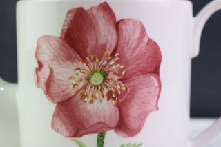 Villeroy & Boch Flora Tea / Coffee Pot & Lid Pink Flower Green Trim 6 Cup