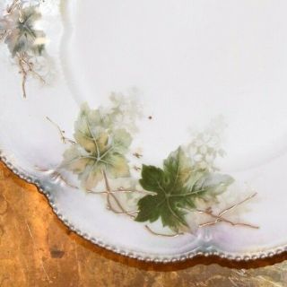 Antique RS Prussia Porcelain PLATE IVY LEAVES GOLD BEADING SCALLOPED RIM 8.  5 
