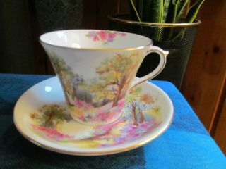 Vintage,  Shelley Bone China,  Tea Cup & Saucer " Englands Charm " Pattern - Vgc