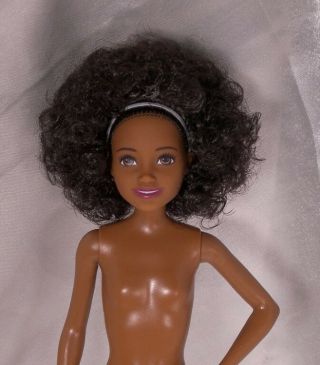 Barbie Teen Skipper Aa African American Doll Curly Afro Black Hair Brown Eyes