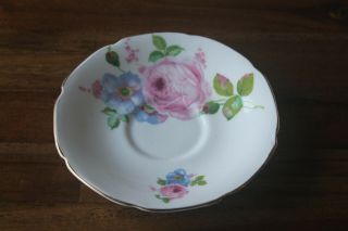 Paragon Large Cabbage Pink Rose Blue Flowers Saucer Only No Tea Cup