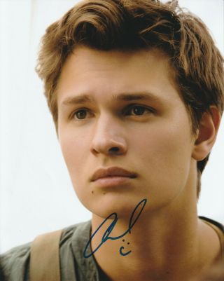 Ansel Elgort (" Baby Driver " Star) Signed Photo