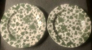 (2) Ivy By Burgess & Leigh Stoke - On - Trent Dinner Plates—england—new