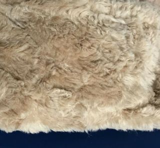 Alpaca Silk Mohair Blend Fur Fabric 3/4 " Pile Intercal Distressed Old Tan 17 X 27
