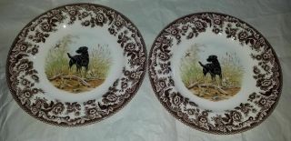 Spode Woodland Hunting Dogs Black Labrador 7 3/4 " Salad/dessert Plates Set Of 2