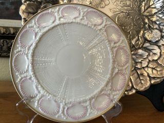 Vintage Stamped Belleek Shell Plate With Gold Rim From Ireland