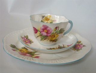 Vintage Shelley Bone China Begonia Tea Cup Saucer 8 " Plate Trio Dainty England