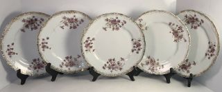Antique Porcelain Dinner Plates Hand - Painted Violets Gold Gilt Set/5 - 9 1/2”