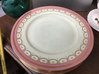 Black Knight Pattern 455 10 - 1/4 " Dinner Plate Pink Swags & Bows & Gold Bavaria