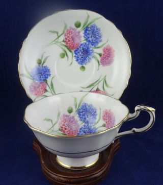 Paragon Exquisite Cornflower Vintage Fine Bone China Cup & Saucer